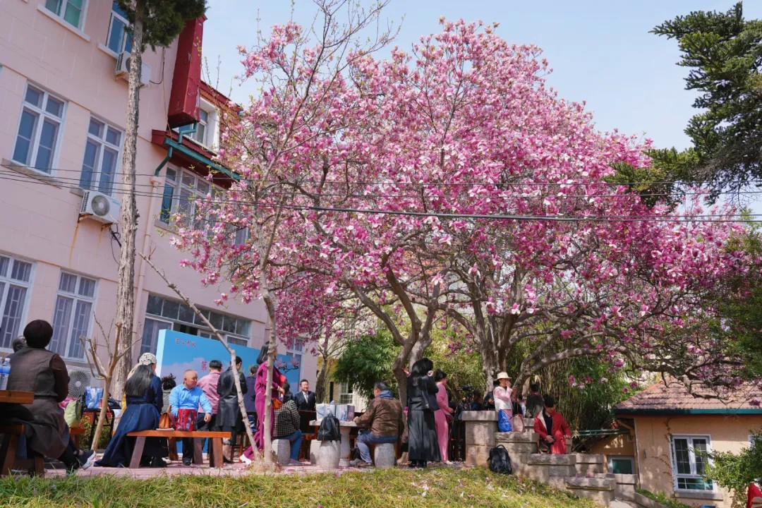 640_wx_fmt=jpeg&from=appmsg&tp=webp&wxfrom=5&wx_lazy=1 (1).jpg